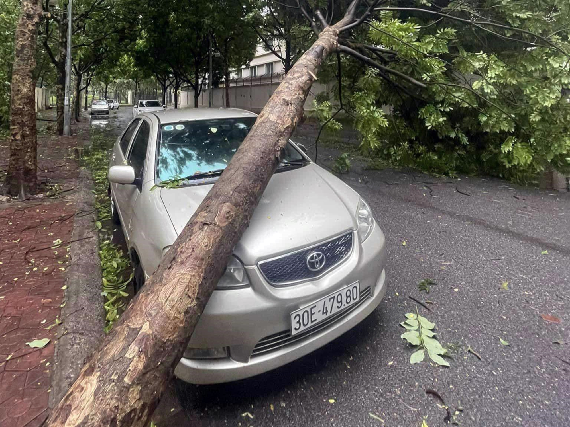 Chuyên gia bảo hiểm: 'Ô tô bị cây đổ sau bão được bồi thường tối đa 100% giá trị nhưng chủ xe cần lưu ý điều này'- Ảnh 2.