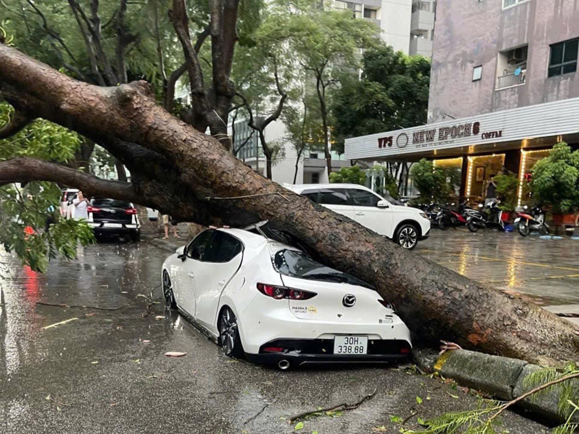 Chuyên gia bảo hiểm: 'Ô tô bị cây đổ sau bão được bồi thường tối đa 100% giá trị nhưng chủ xe cần lưu ý điều này'- Ảnh 3.