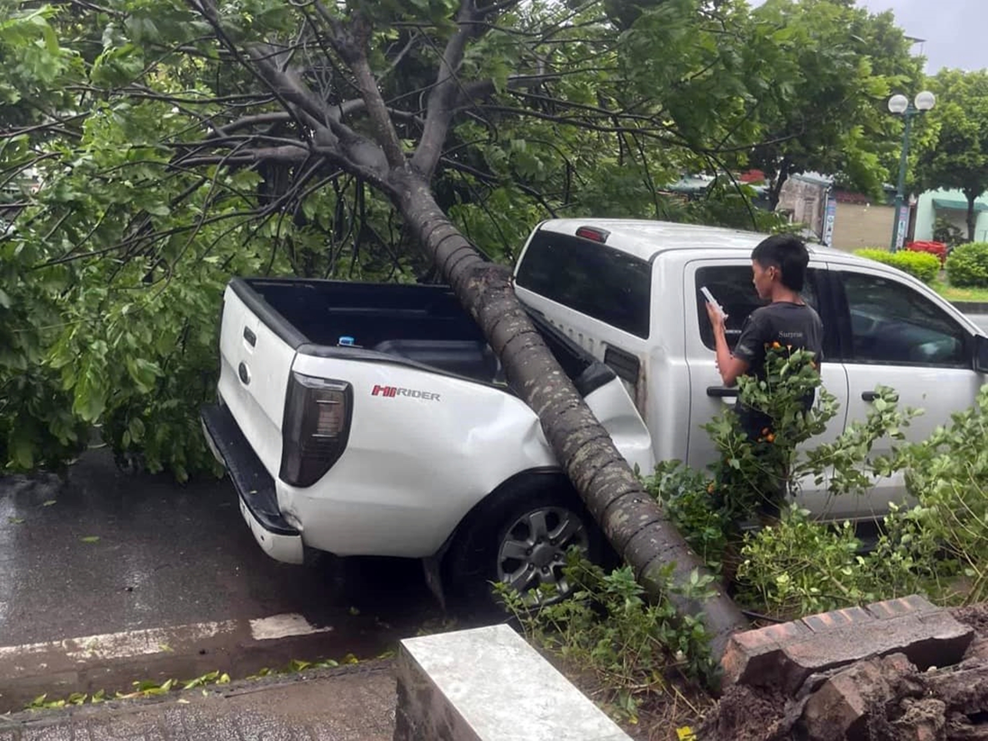 Chuyên gia bảo hiểm: 'Ô tô bị cây đổ sau bão được bồi thường tối đa 100% giá trị nhưng chủ xe cần lưu ý điều này'- Ảnh 4.