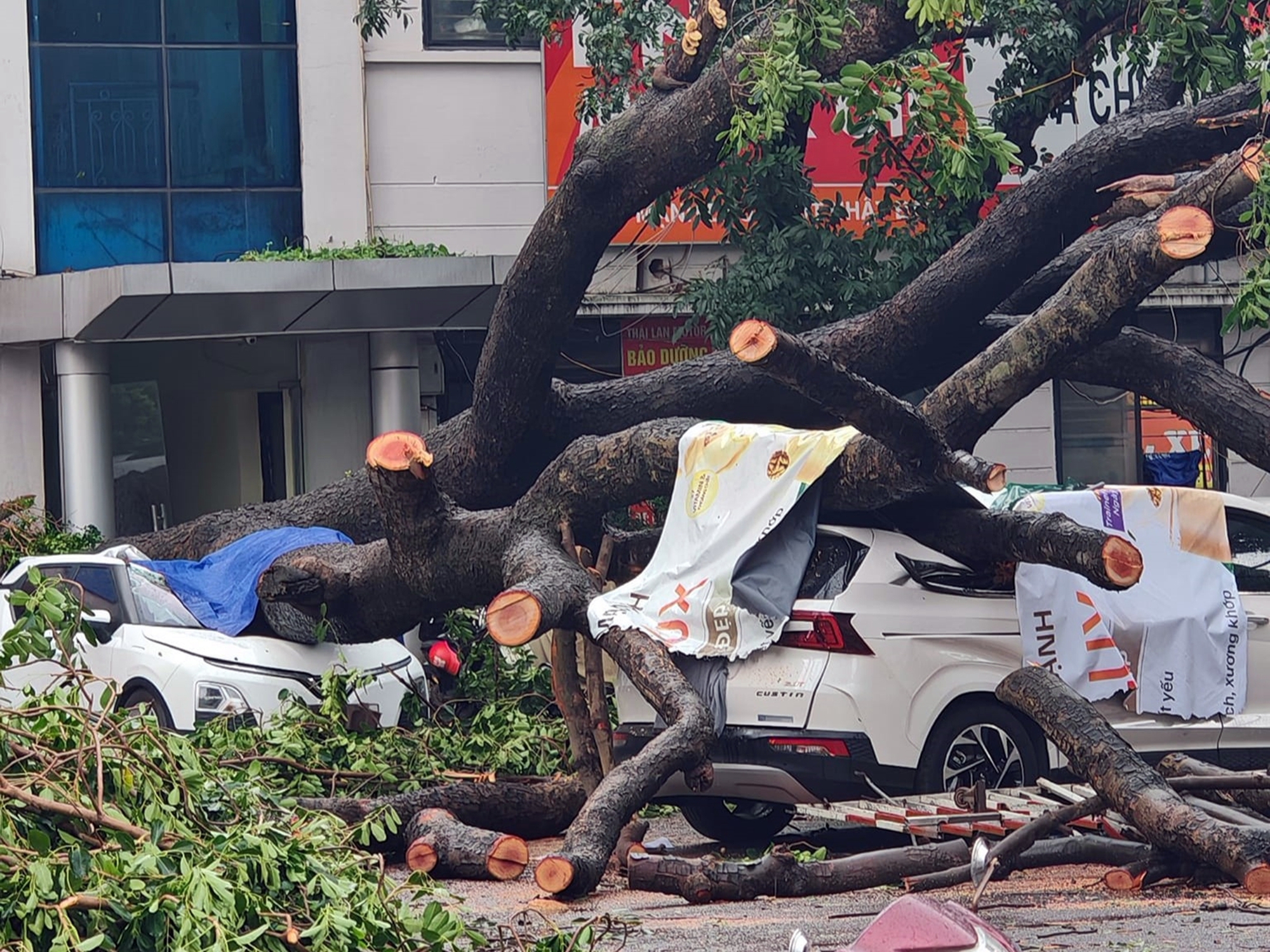 Chuyên gia bảo hiểm: 'Ô tô bị cây đổ sau bão được bồi thường tối đa 100% giá trị nhưng chủ xe cần lưu ý điều này'- Ảnh 5.