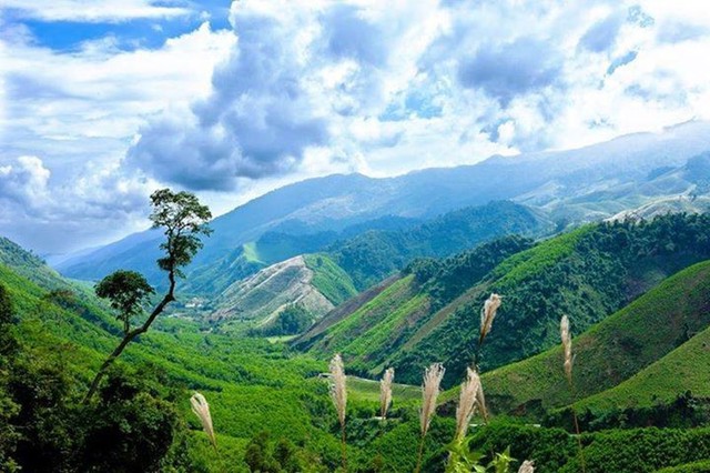 Nơi được ví như "Đà Lạt thu nhỏ", cách thành phố chưa đến 100km, nhiều người bất ngờ vì chưa hề nghe tên - Ảnh 3.