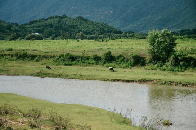 Nơi được ví như "Đà Lạt thu nhỏ", cách thành phố chưa đến 100km, nhiều người bất ngờ vì chưa hề nghe tên - Ảnh 6.