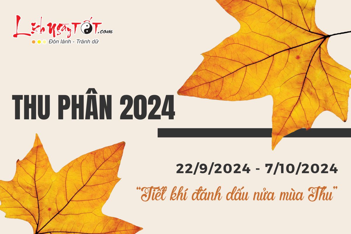 Tiet khi Thu Phan nam 2024