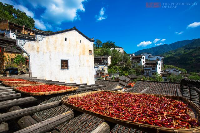 Cứ đến tháng 11, hàng vạn người lại đổ về ngôi làng này chỉ để ngắm hai gam màu đặc biệt- Ảnh 26.