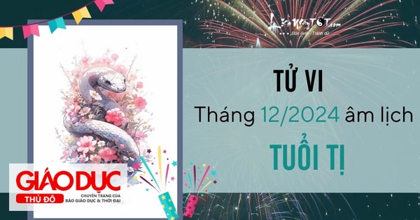 Tử vi tháng 12/2024 tuổi Tị âm lịch: Vận trình rực rỡ, vụt sáng ở nhiều phương diện