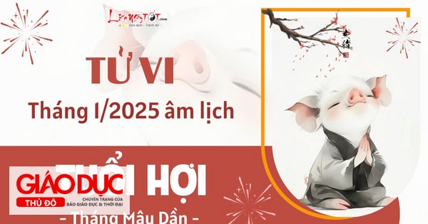 Tử vi tháng 1/2025 tuổi Hợi âm lịch: Buồn vui xen lẫn nhưng hãy vững tin vào tương lai