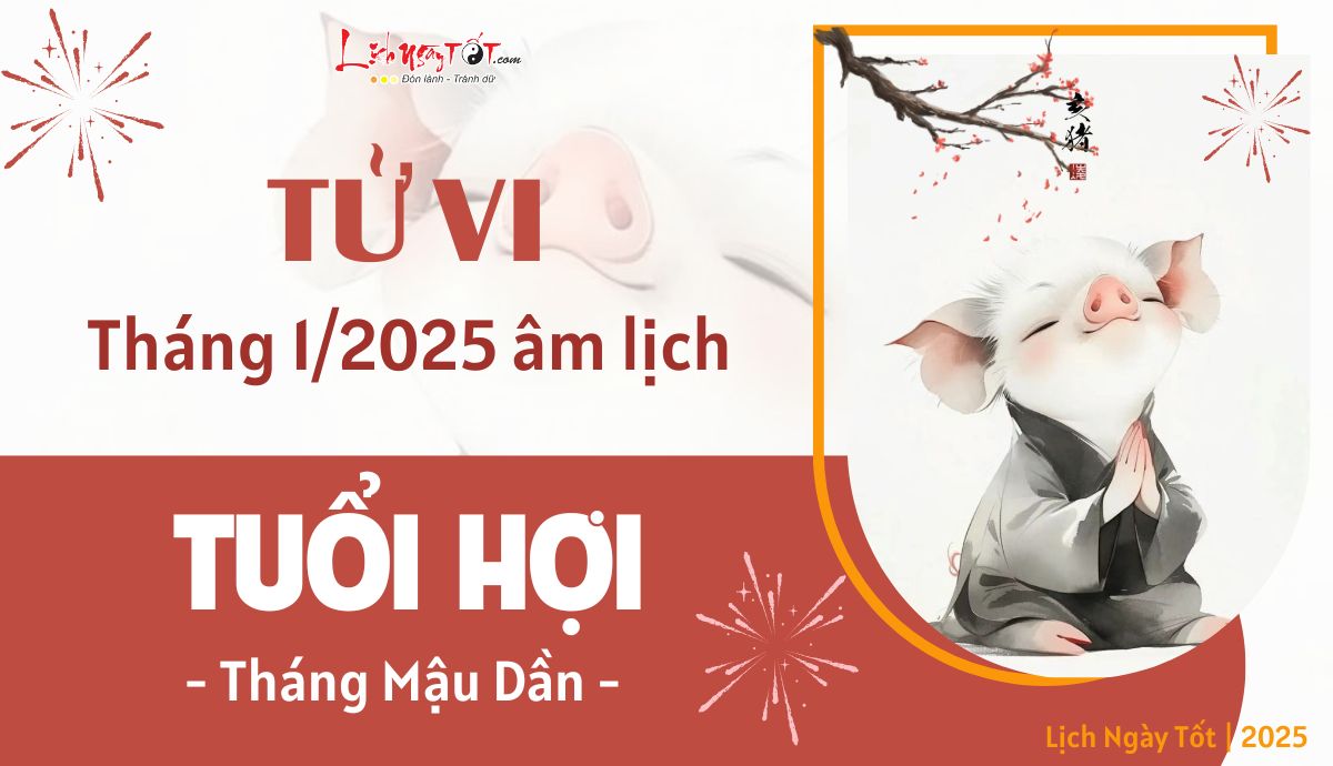 Tu vi thang 1/2025 tuoi Hoi am lich