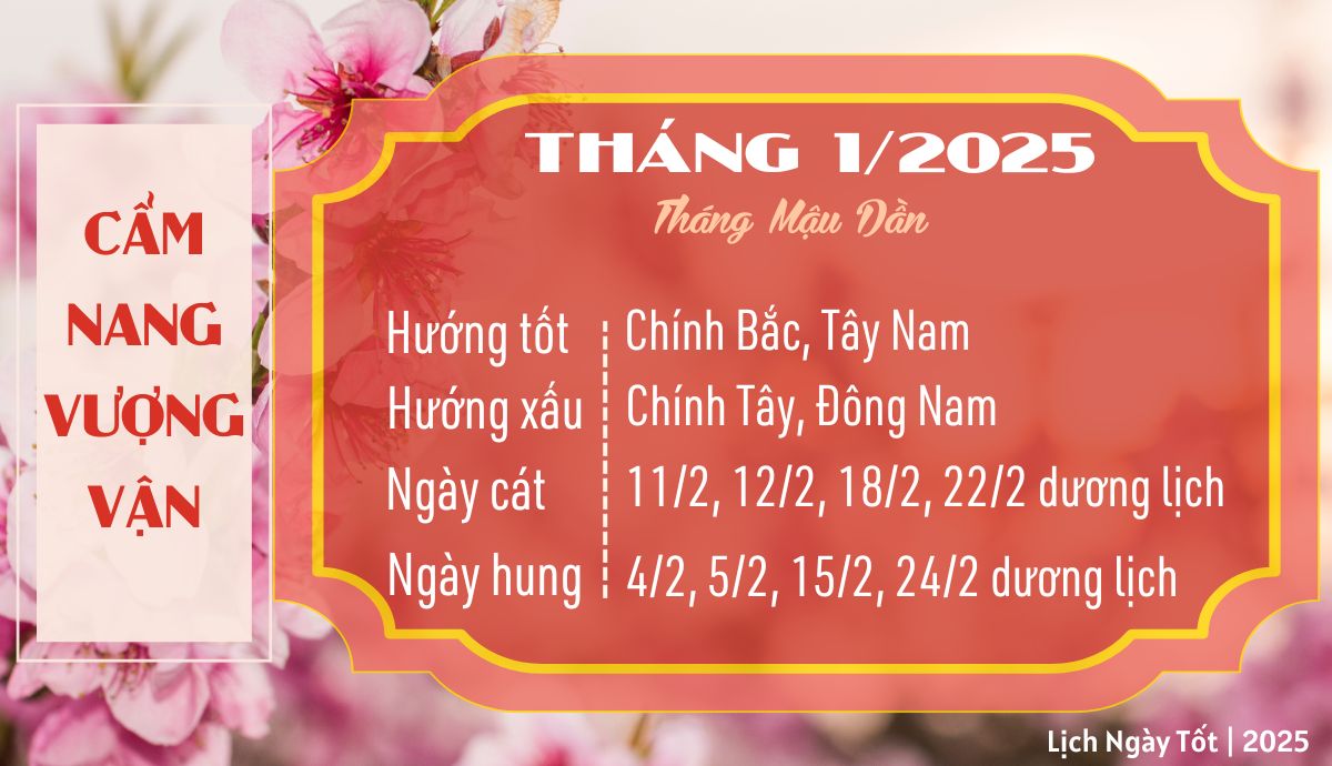 Tử vi tháng 1/2025 tuổi Hợi âm lịch: Buồn vui xen lẫn nhưng hãy vững tin vào tương lai