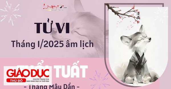 Tử vi tháng 1/2025 tuổi Tuất âm lịch: Nên linh hoạt tránh vướng thị phi không đáng có