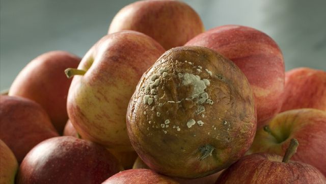 Đừng để gan “hóa đá” vì 2 loại nước quen thuộc này – Loại đầu tiên gây sốc!- Ảnh 3.